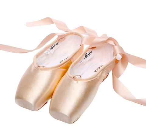 Image visuelle des Chaussons Pointes modèle canvas ou satin Yukigaga